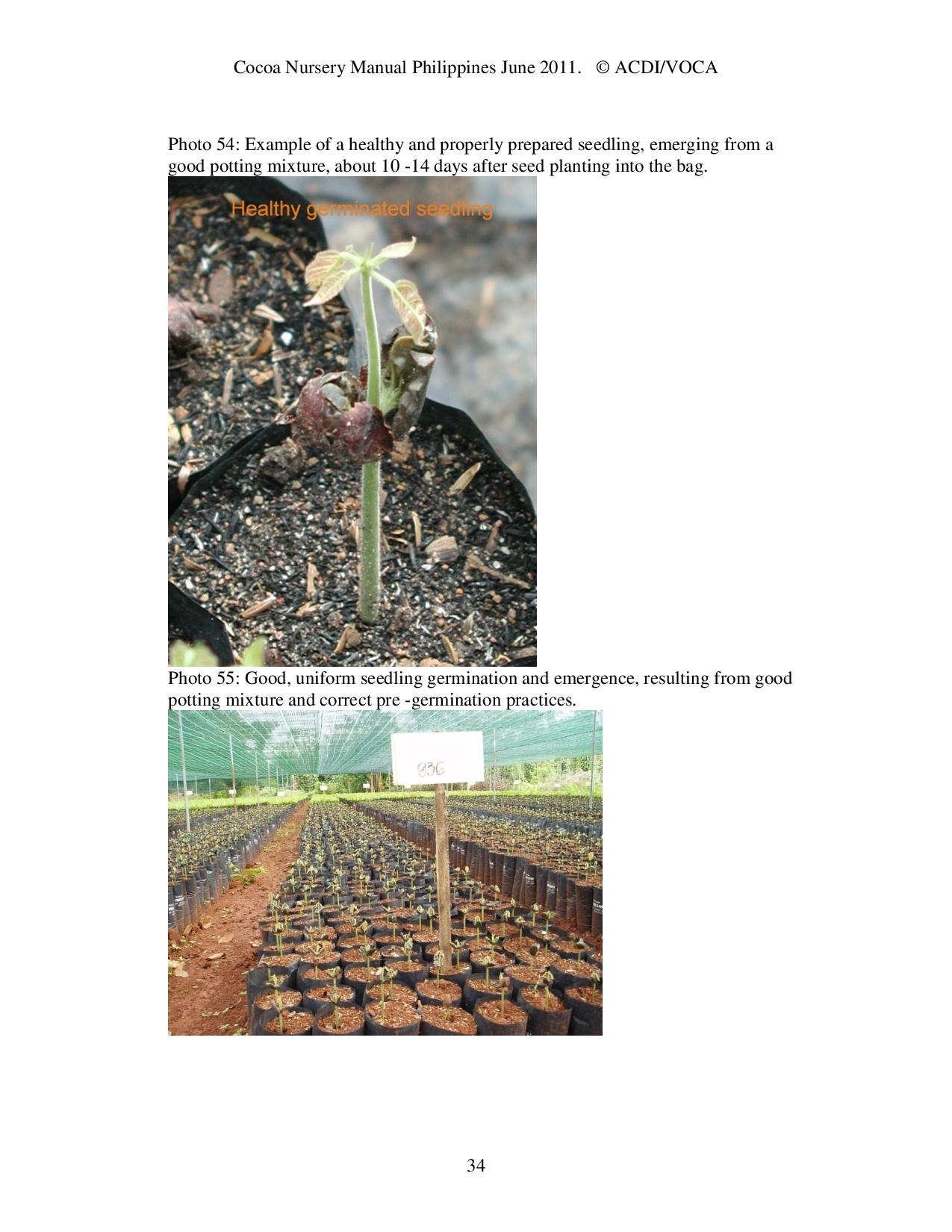 Cocoa-Nursery-Manual-2011_acdi-voca-page-034