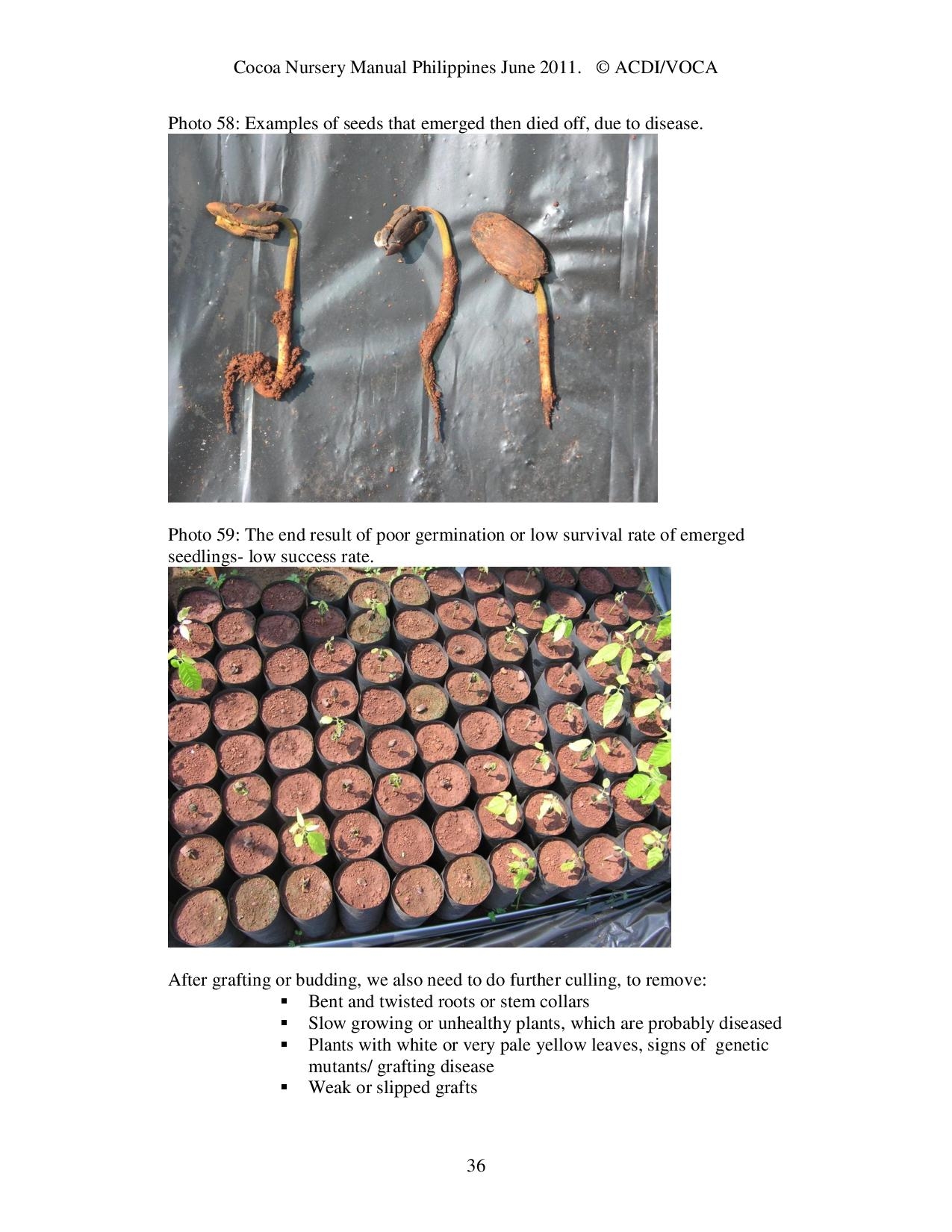 Cocoa-Nursery-Manual-2011_acdi-voca-page-036
