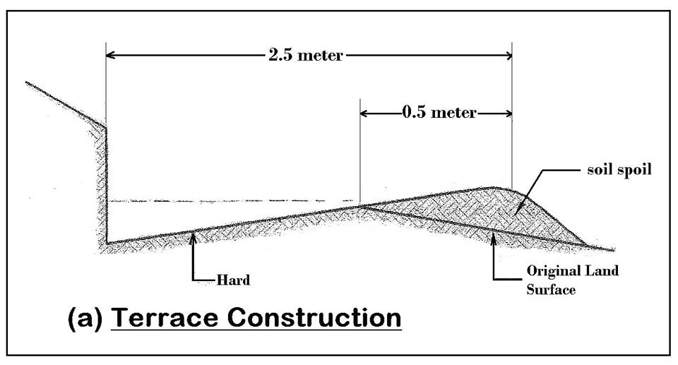 Terrace Construction 